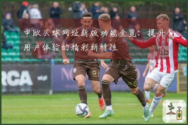 中欧买球网址新版功能全览：提升用户体验的精彩新特性
