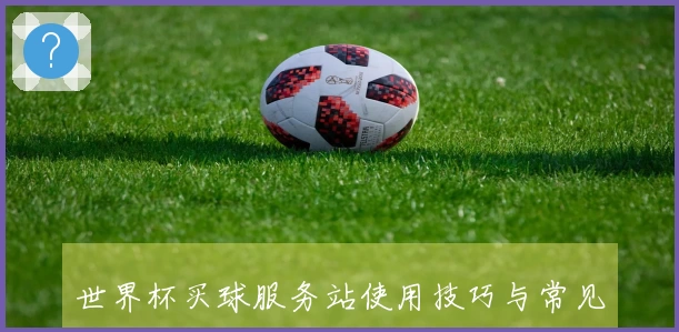 世界杯买球服务站使用技巧与常见问题解答指南