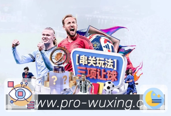 五星体育APP 体育赛事宣传图